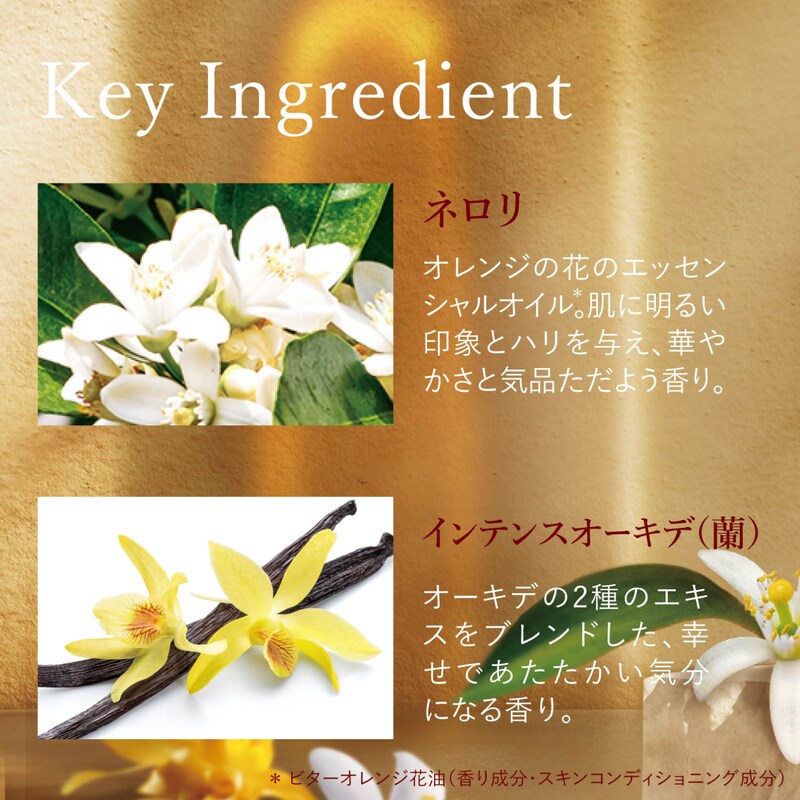 ボックス入り グレースオーキデ コンプリート ロクシタン L Occitane 通販のベルメゾンネット