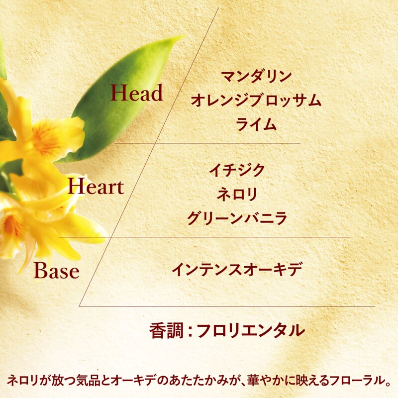 ボックス入り グレースオーキデ ボディ ハンド ロクシタン L Occitane 通販のベルメゾンネット