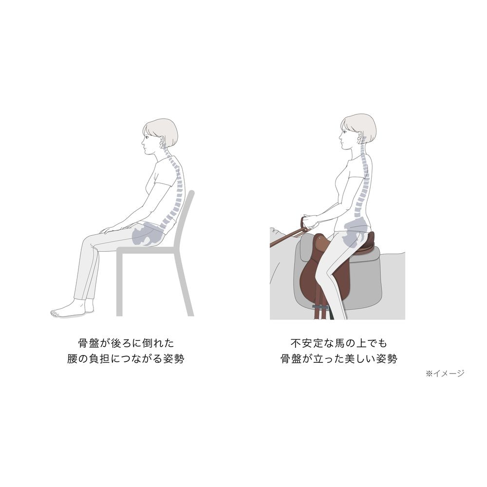 お尻を前後から包み込んで骨盤を立たせると、腰への負担が軽くなり、美しい姿勢をラクに保つことができます
