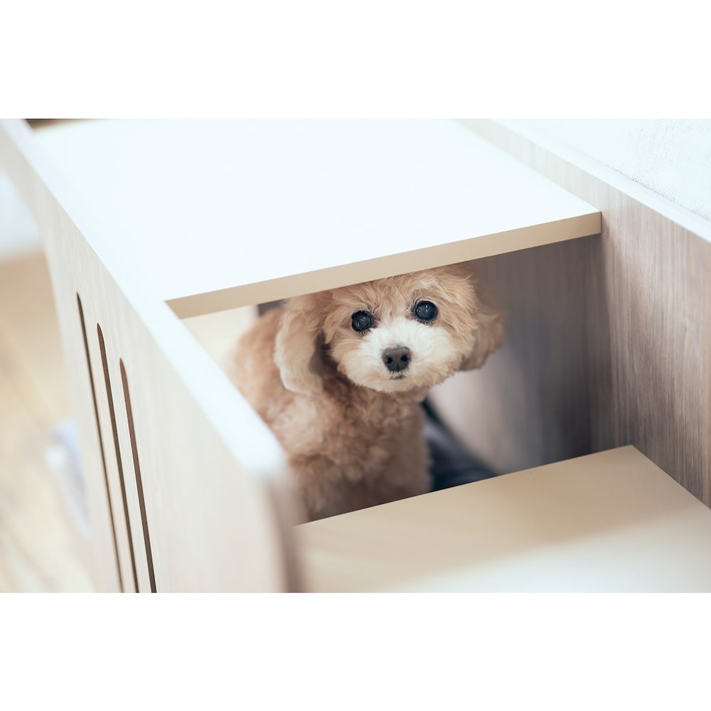 使用イメージ