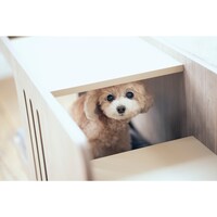 使用イメージ