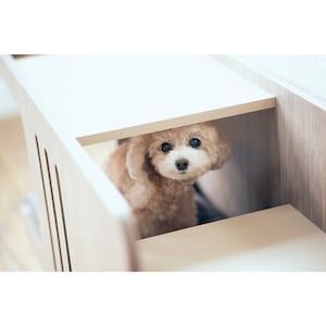 使用イメージ