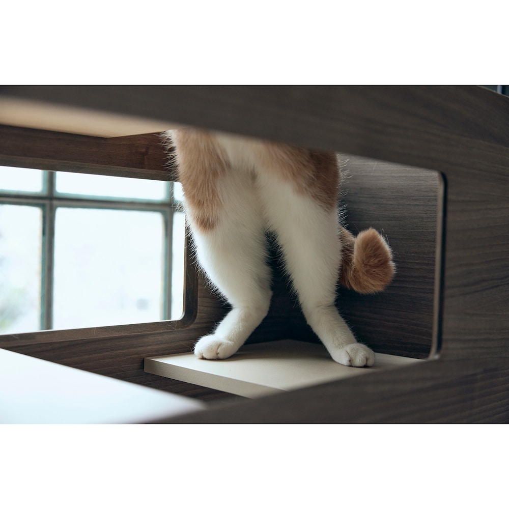 使用イメージ