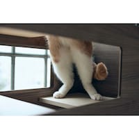 使用イメージ