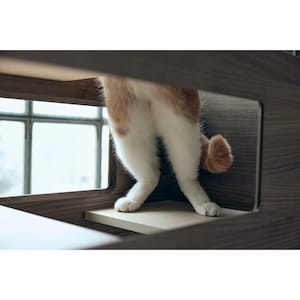 使用イメージ