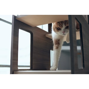 使用イメージ