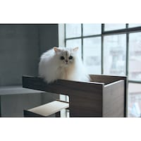 使用イメージ