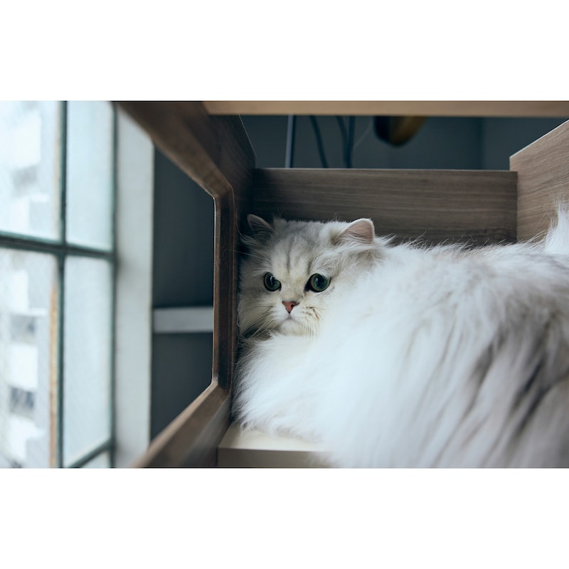使用イメージ