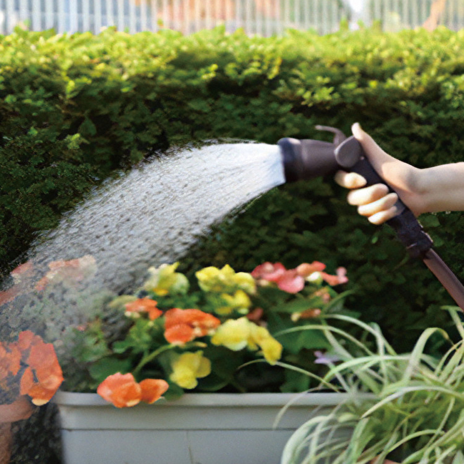 水やりホースの通販 通販のベルメゾンネット 水やりホースの通販 通販のベルメゾンネット