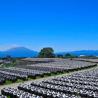 壺畑（製造工場）の風景