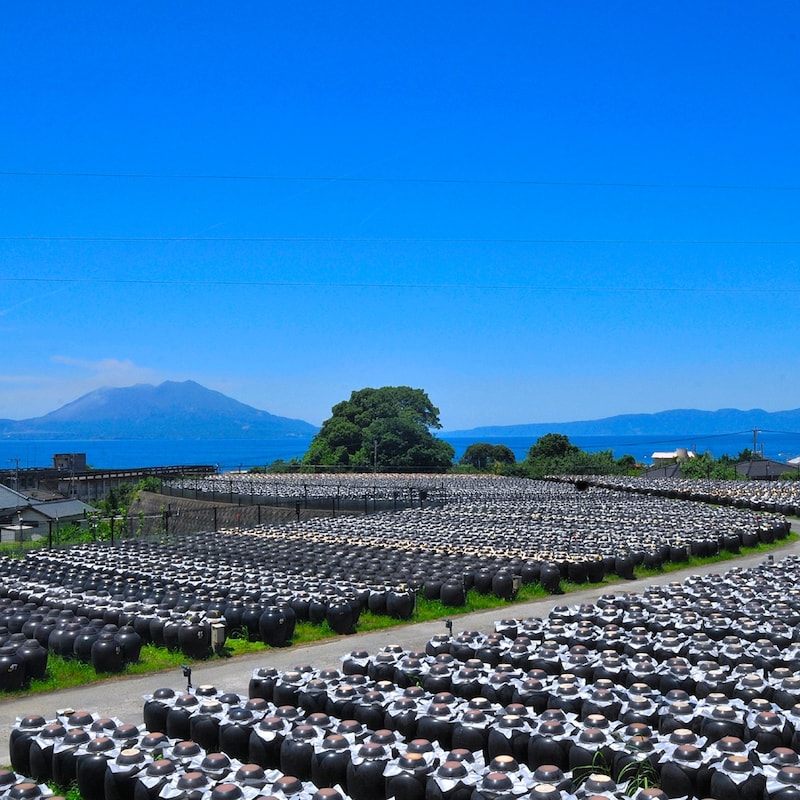 壺畑（製造工場）の風景