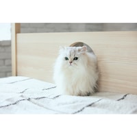 側板アップ