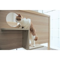 ステップ部アップ