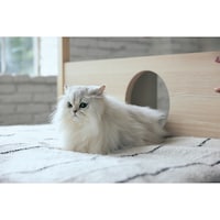 使用イメージ