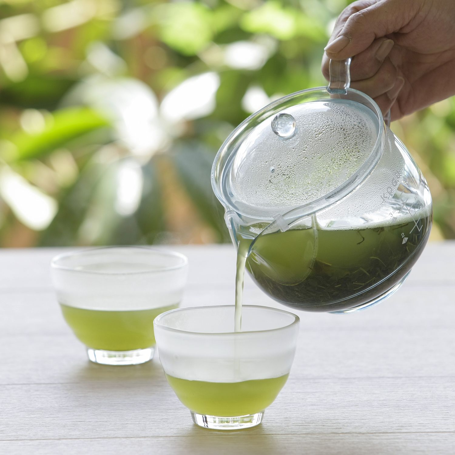 【茶考具】割れにくいティーポット[日本製]