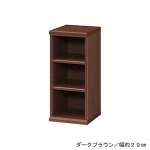 Aタイプ