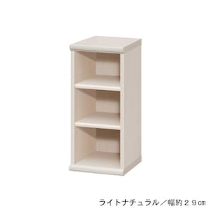 Aタイプ