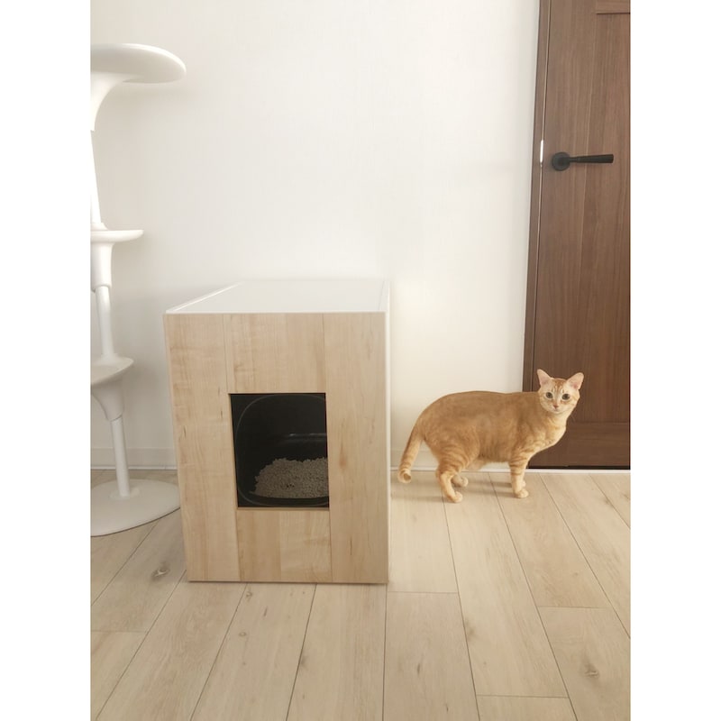 使用イメージ