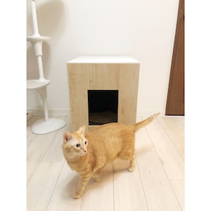 使用イメージ