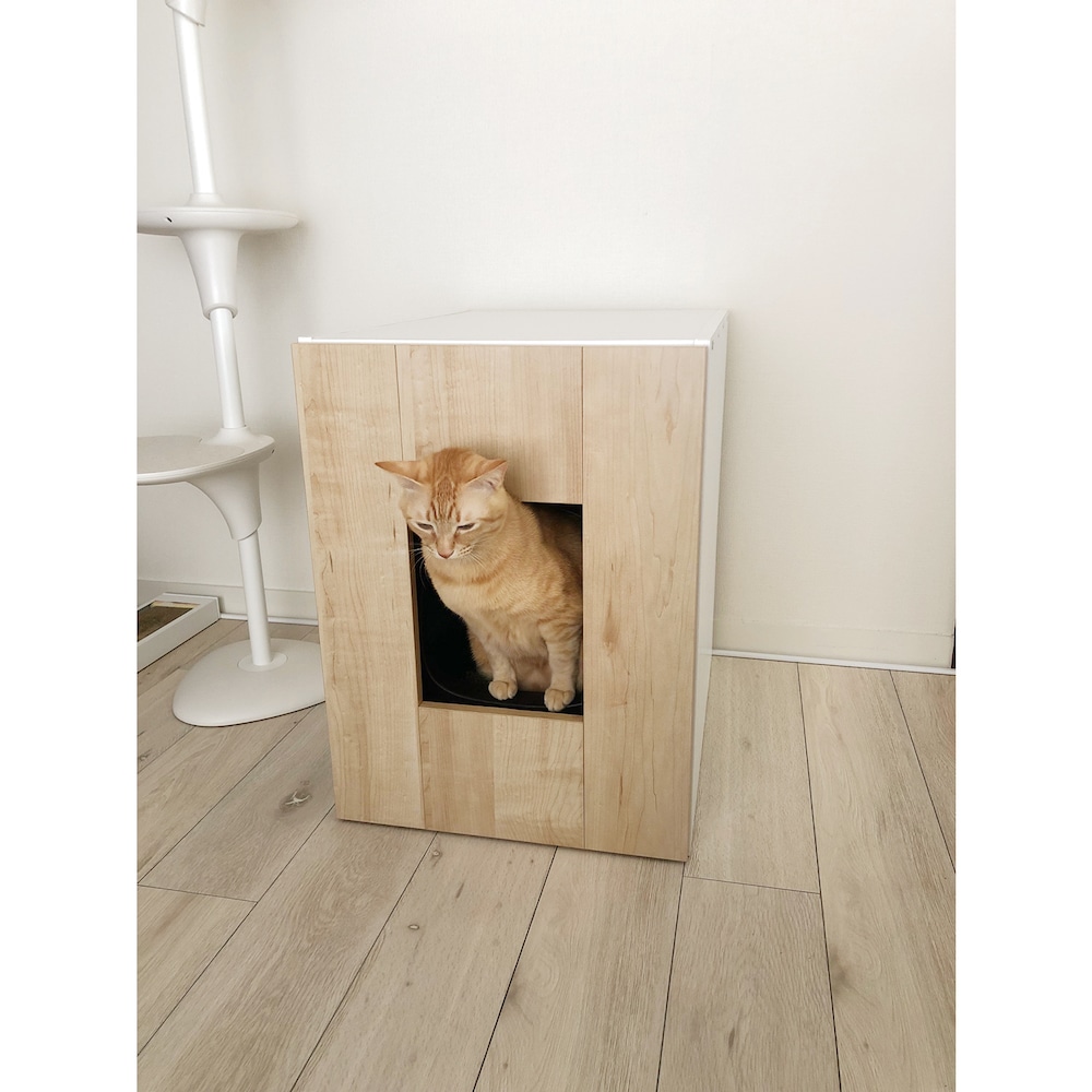 使用イメージ