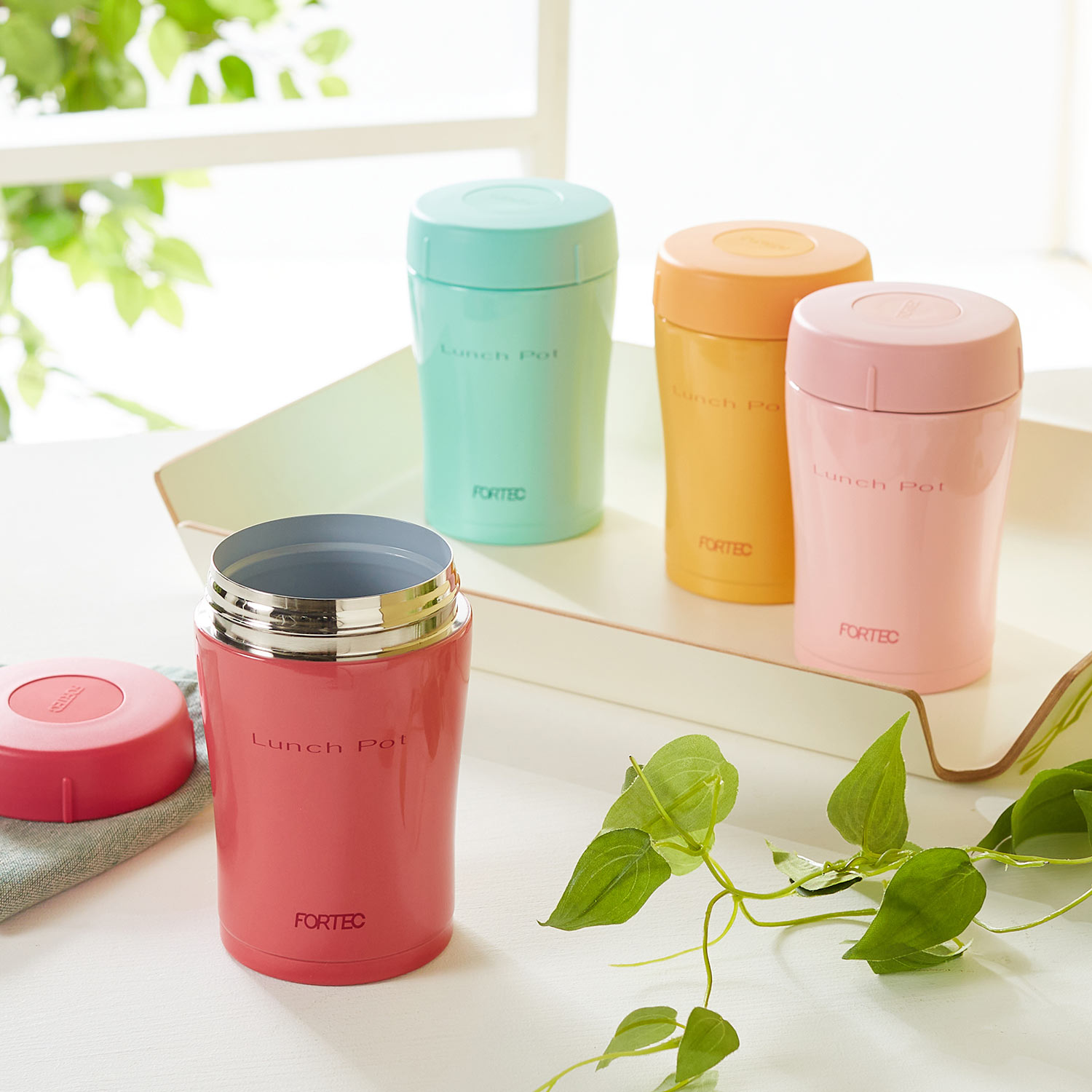 スープジャーの通販 通販のベルメゾンネット スープジャーの通販 通販のベルメゾンネット