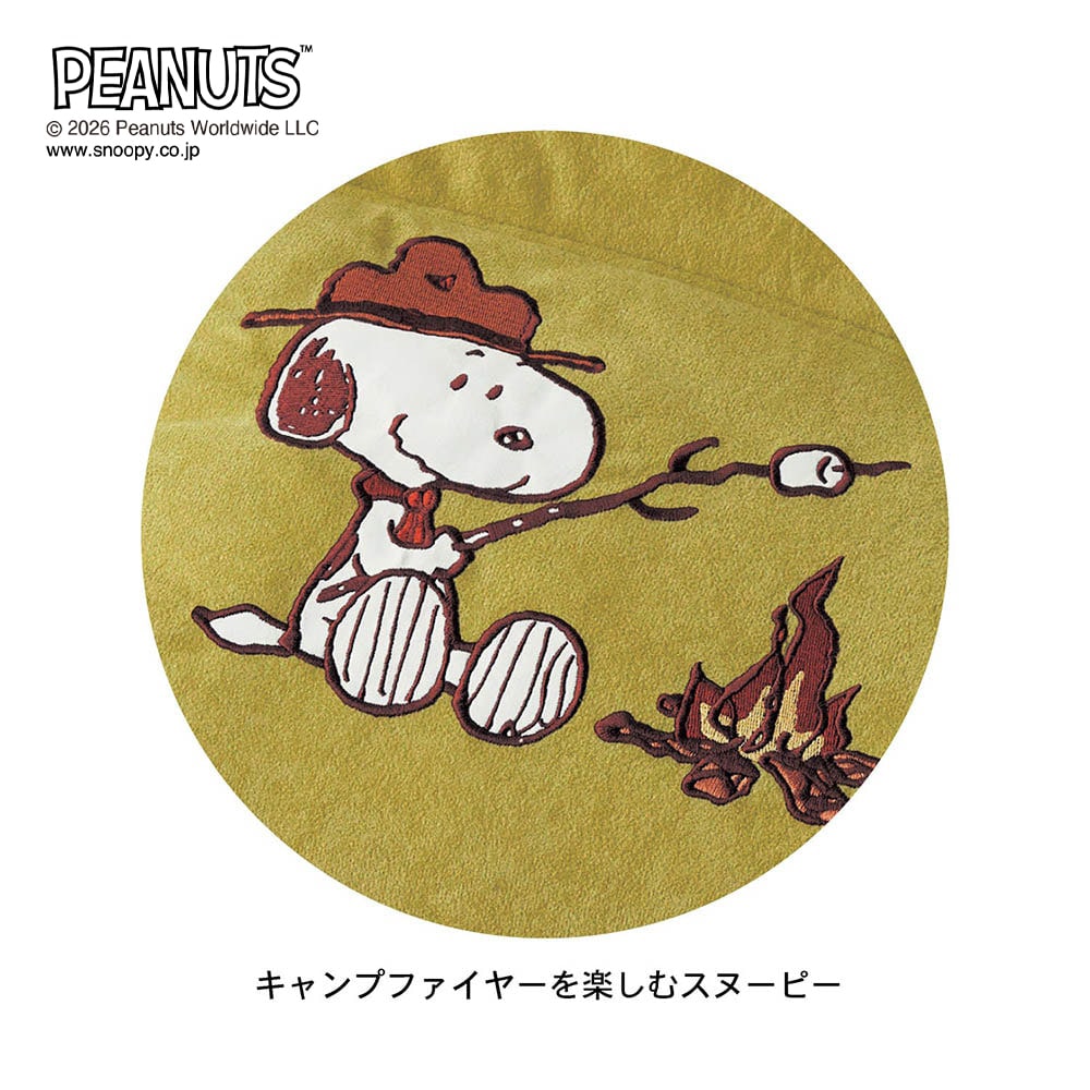 ビーグル・スカウト