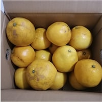 5kg（M～2Lサイズ、10～16個入）でお届けします