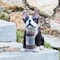 ご主人様のかえりを待つ犬のソーラーオーナメント