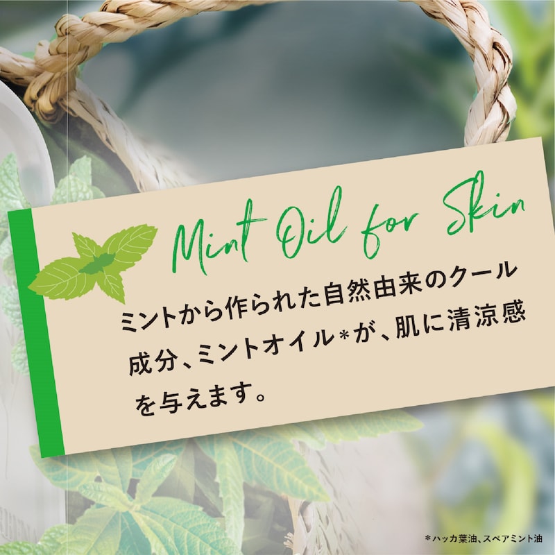 ミントヴァーベナ ソルベボディジェル（ボディクリーム/ローション/オイル）｜(ロクシタン/L'OCCITANE)｜通販のベルメゾンネット
