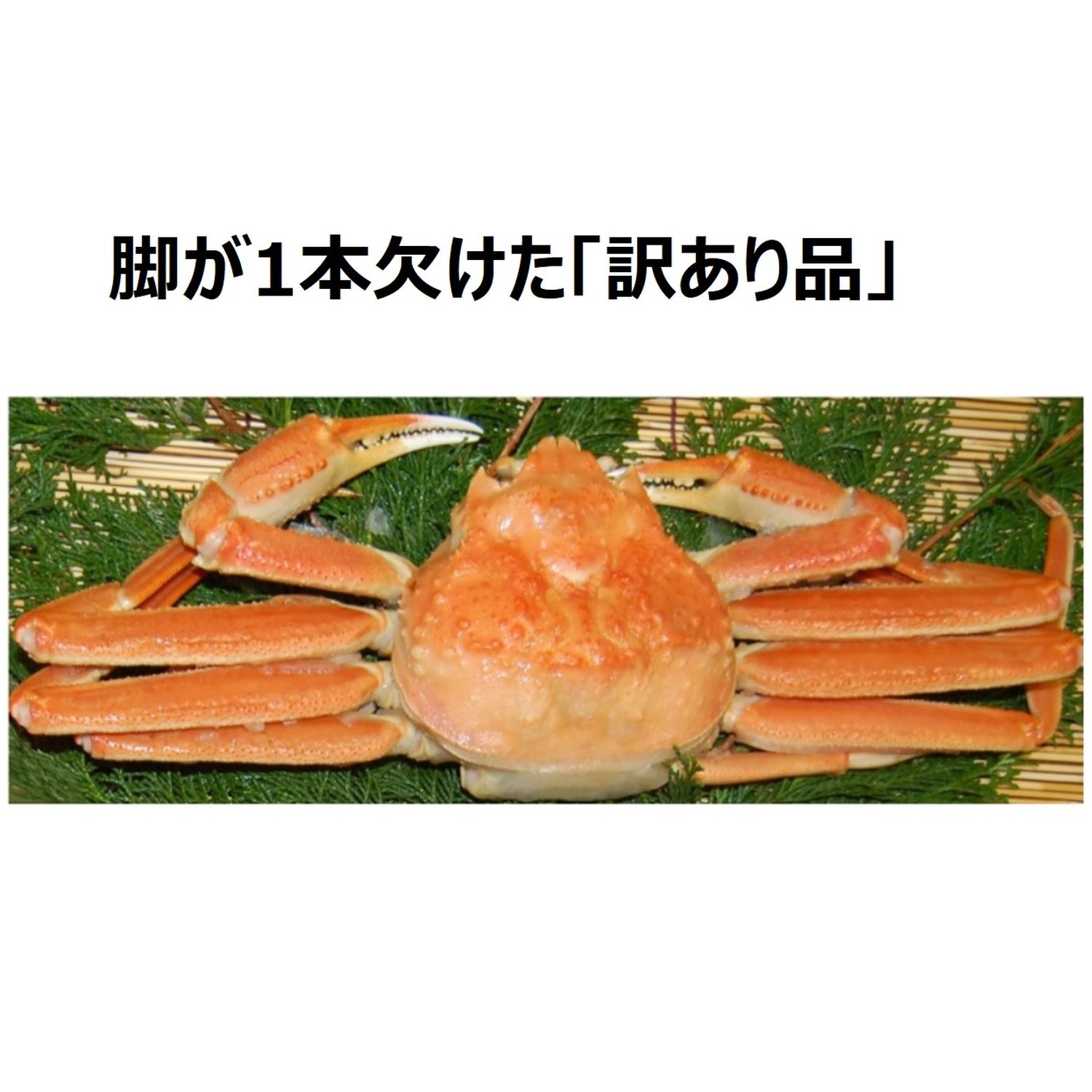 魅力的な 訳あり カニ 香住ガニ 浜茹で 1 2kg 3杯 送料無料 茹姿香住ガニ 蟹 ボイル 海鮮 かに 紅ズワイガニ 脚 不揃い 蟹爪 蟹しゃぶ ギフト 鍋 かにみそ ゆで蟹 お取り寄せグルメ 香住蟹 ポッキリ 11 16 1 3本指落ち Fucoa Cl