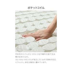 生地アップ