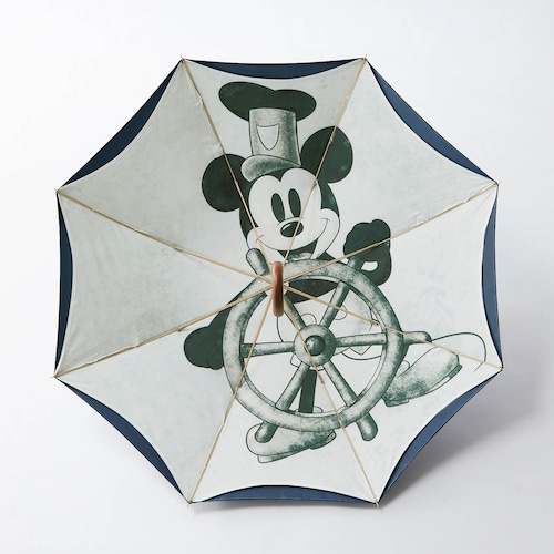 【DisneyFantasyShop30周年限定品】 内側デザインの２枚張り長傘（選べるキャラクター）（ディズニー/Disney）