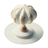パンプキンナチュラル