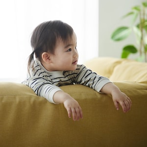 ボリュームのある背クッション （仕様蚤の参照です）