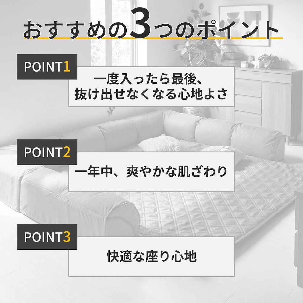 おすすめポイント