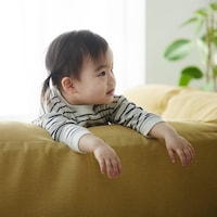 ボリュームのある背クッション（仕様のみの参照です）