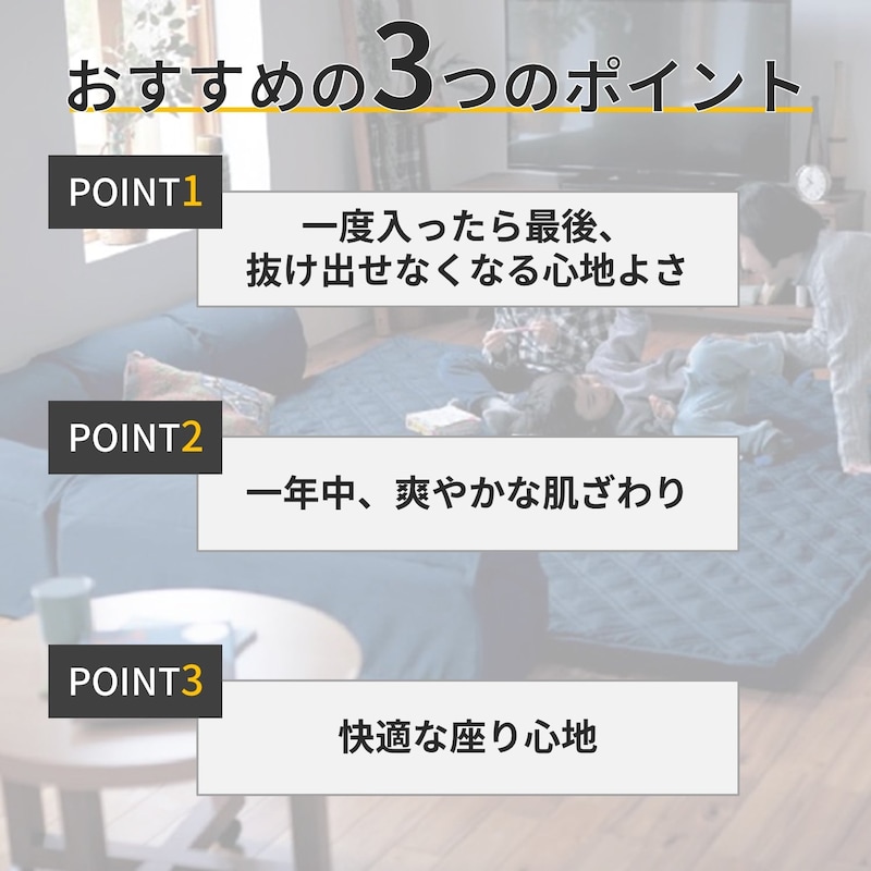 おすすめポイント