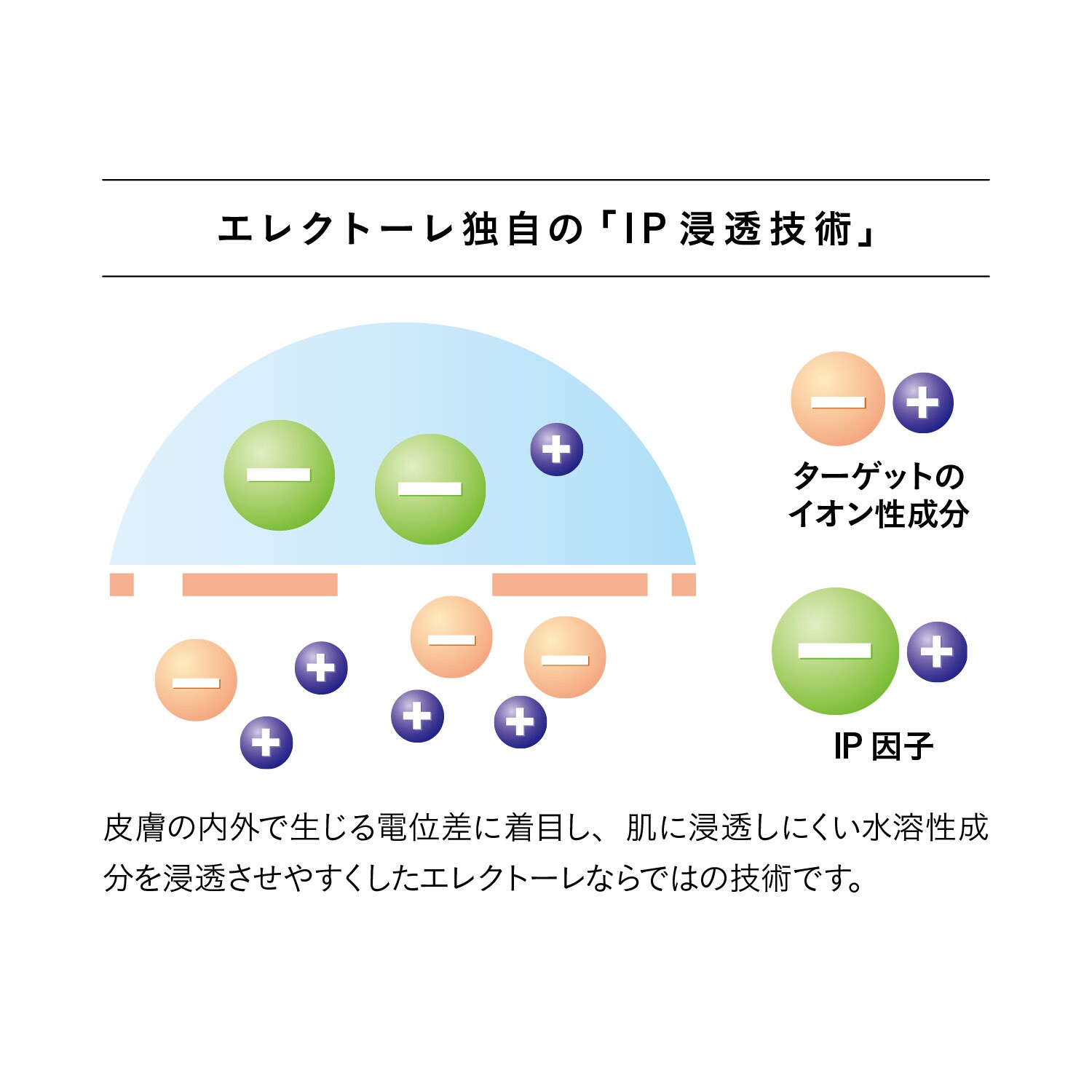 IPスムージング セラム (美容液)