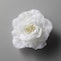 付けるだけで華やかな印象になるコサージュもセット