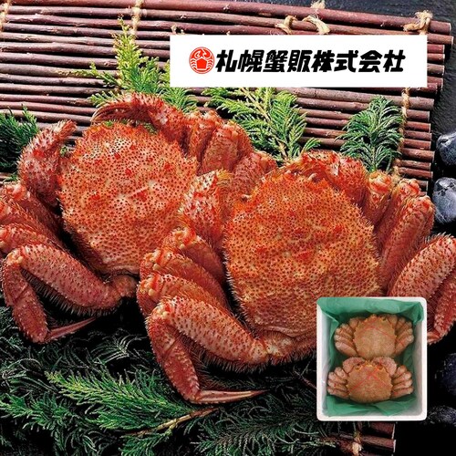【ご挨拶ギフトキャンペーン対象】 北海道産冷凍毛がに 2尾（計１ｋｇ）