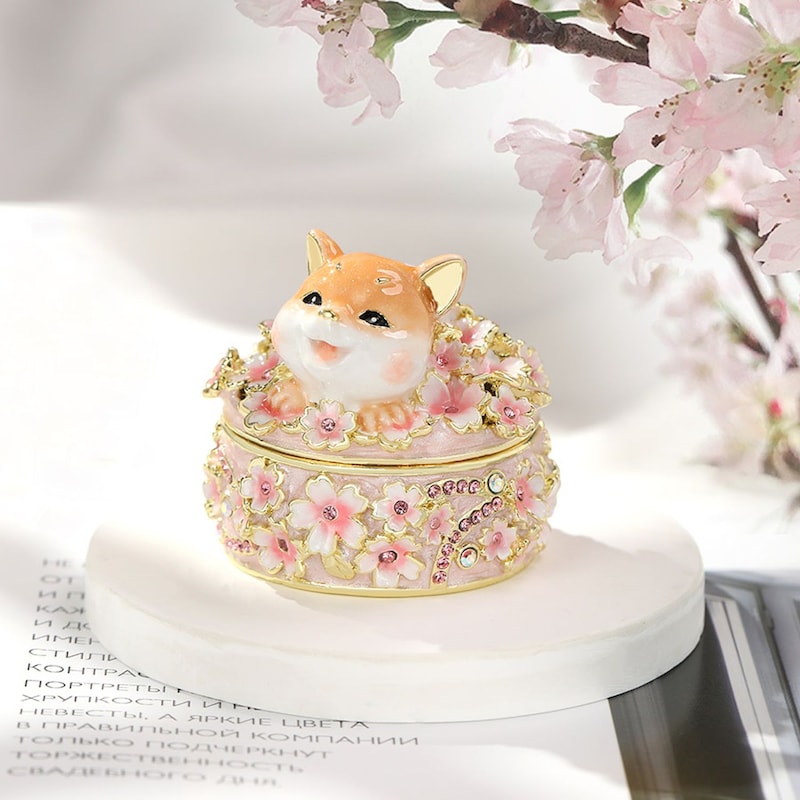 柴犬のお花見