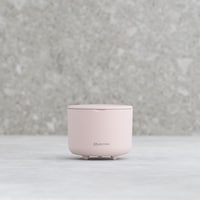 灰桜