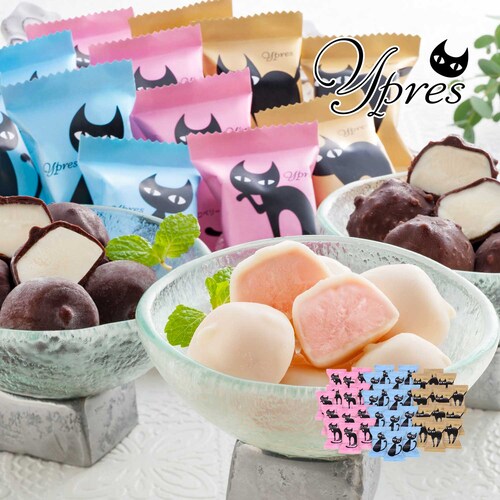 【12月15日までタイムセール】 イーペルの猫祭り プチチョコアイス