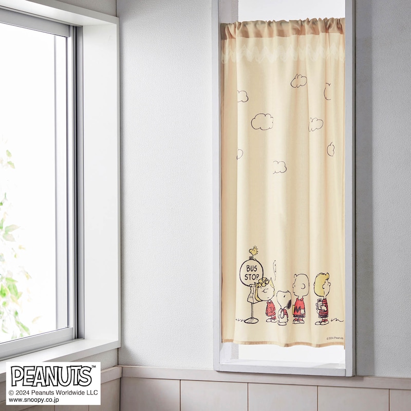 約60×90