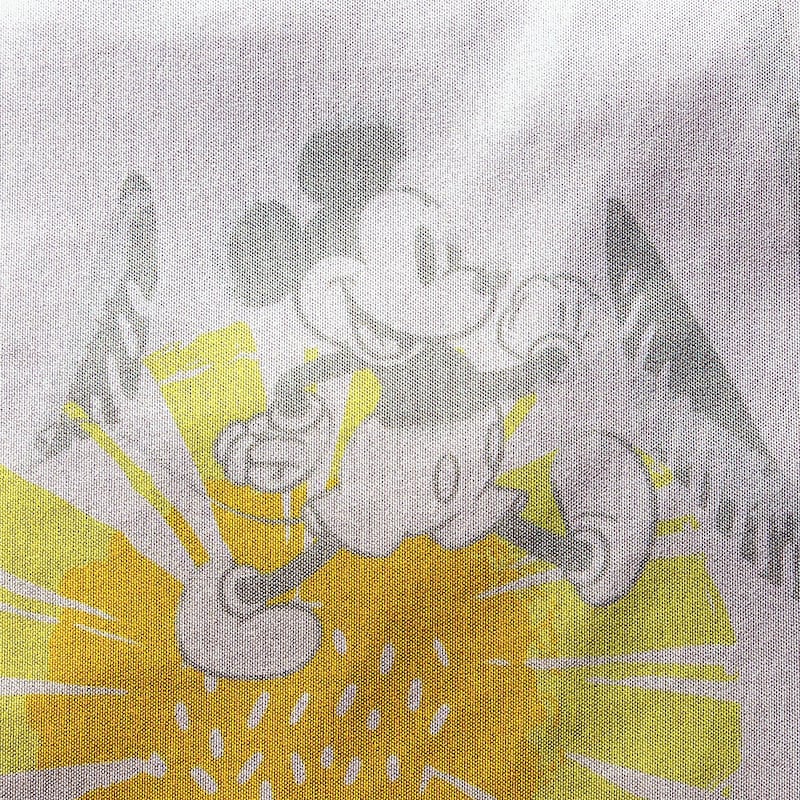 ミッキー＆ミニー／表面