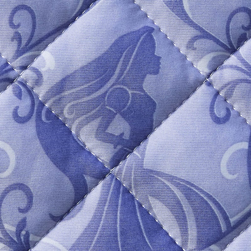 柄アップ　ラプンツェル