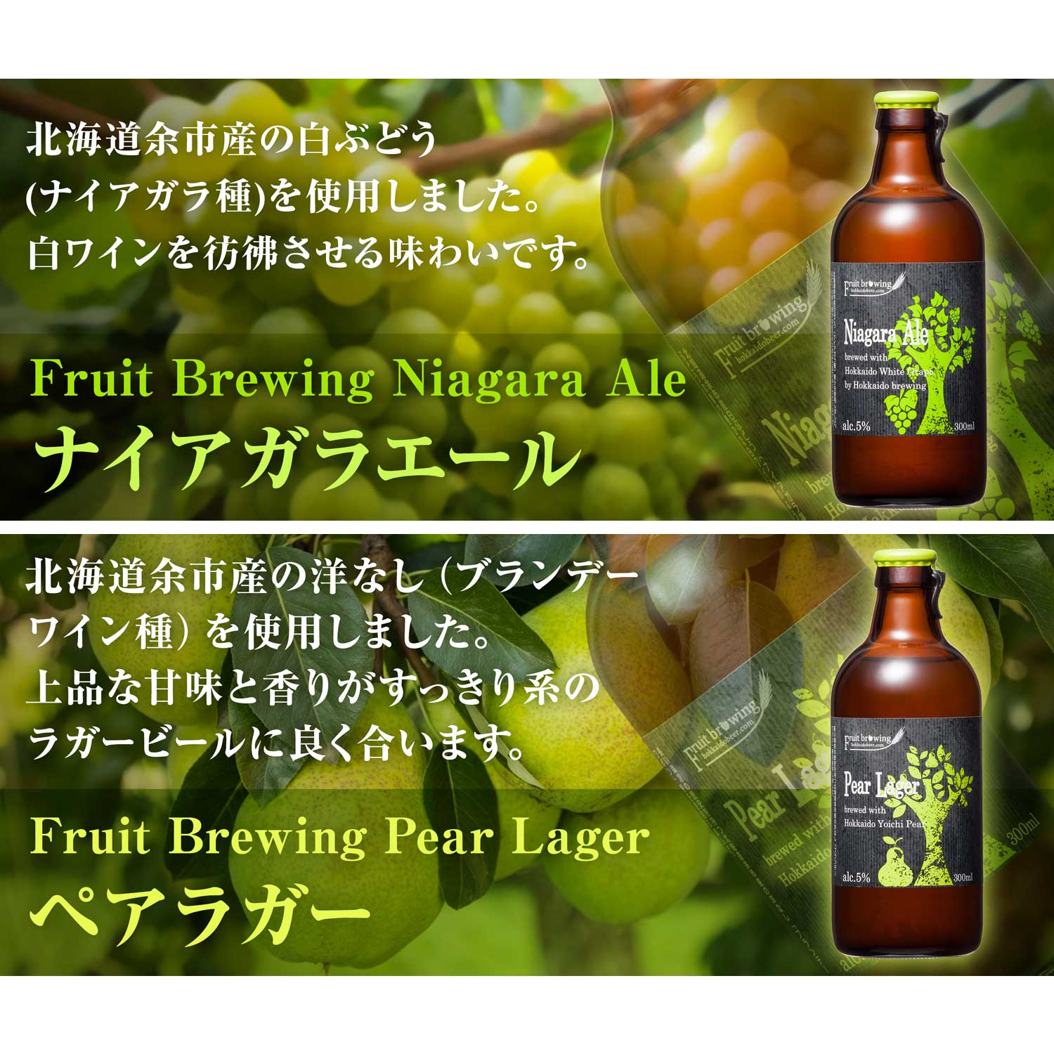 ☆安心の定価販売☆】 北海道麦酒フルーツビール 14本セット