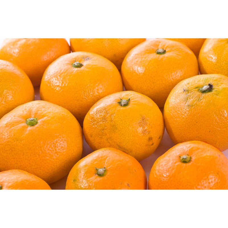 イメージ（写真とは異なる場合がございます）