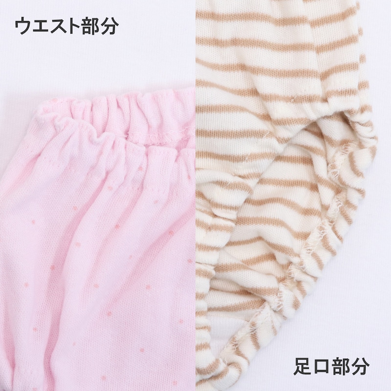 くすみわんこ