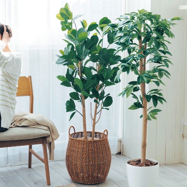 【ベルメゾン】リアルさにこだわった光触媒加工フェイクグリーン